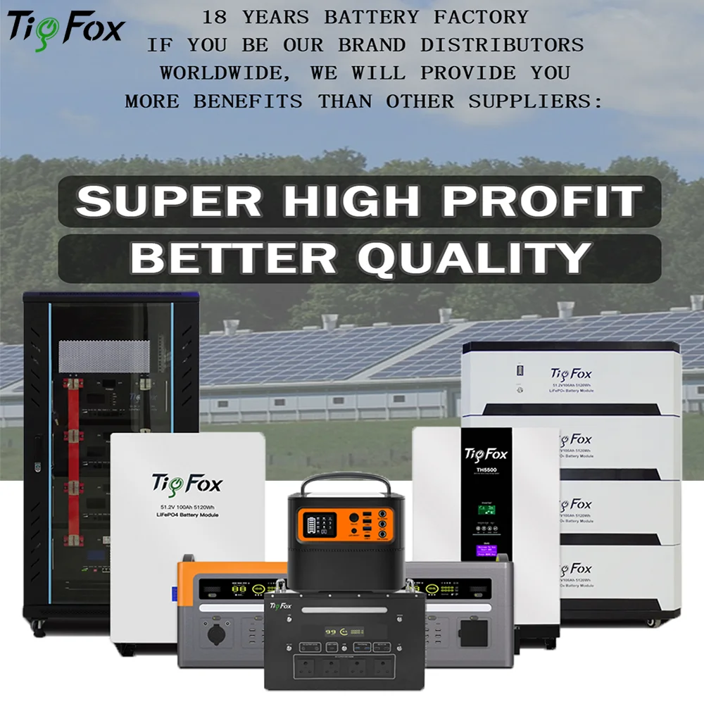 Универсальная система накопления энергии Tigfox 5 кВт, 10 кВт, 13 кВт, 20 кВт, Гибридный солнечный инвертор С литиевой батареей 24 В Изображение 5