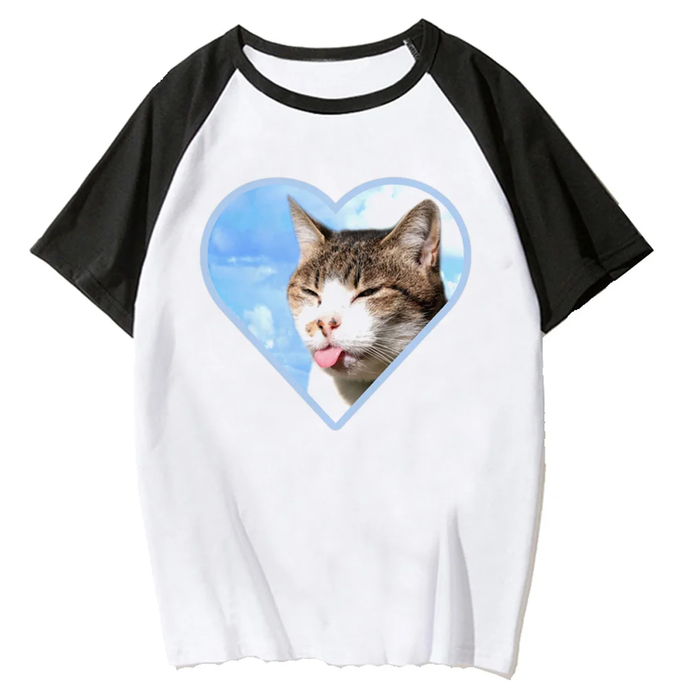 Футболка с принтом кота, женская летняя футболка с забавным комиксом, женская графическая одежда в стиле харадзюку Изображение 3